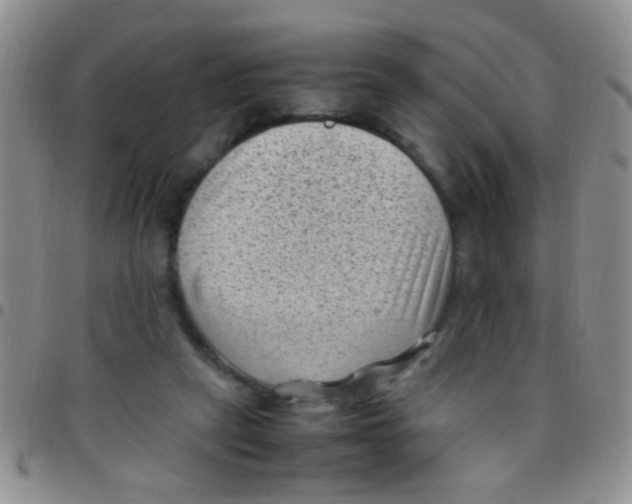 X0000097500257200803142026