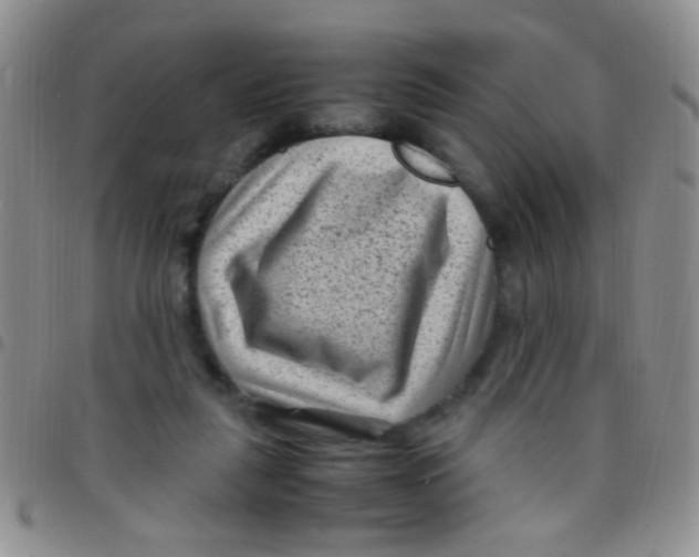 X0000097500259200803142026