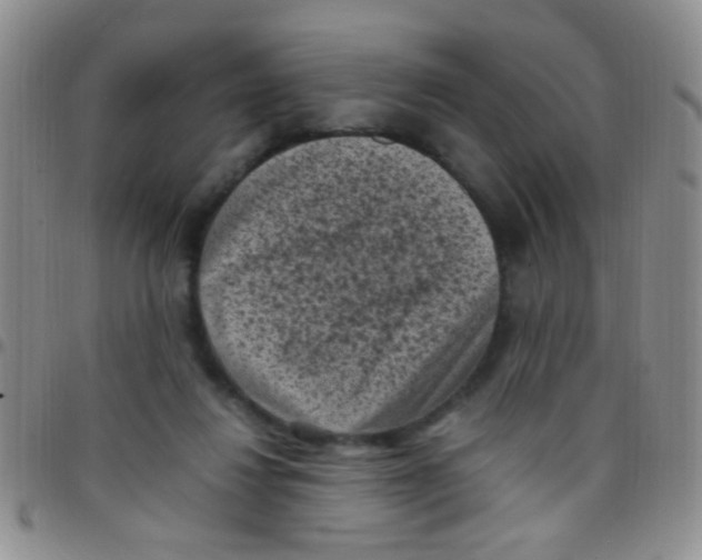 X0000097500260200803142026