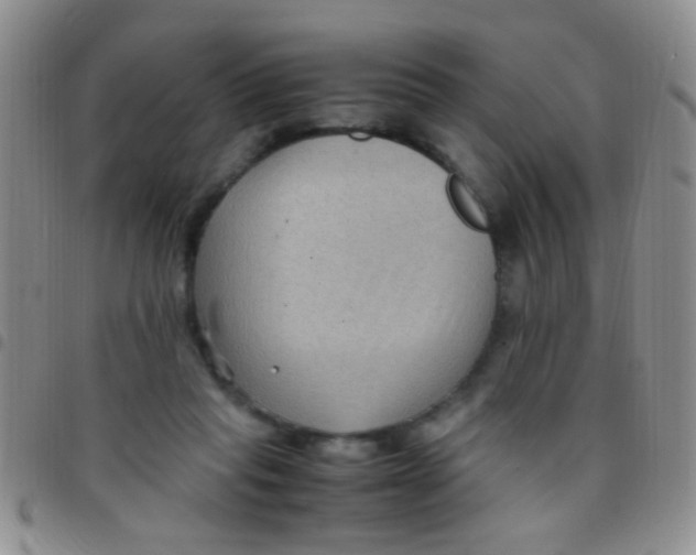 X0000097500261200803142026