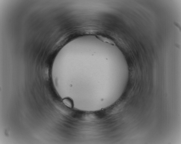 X0000097500262200803142026