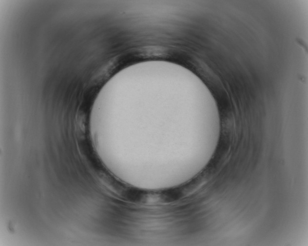 X0000097500264200803142026