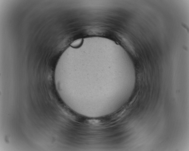 X0000097500265200803142026