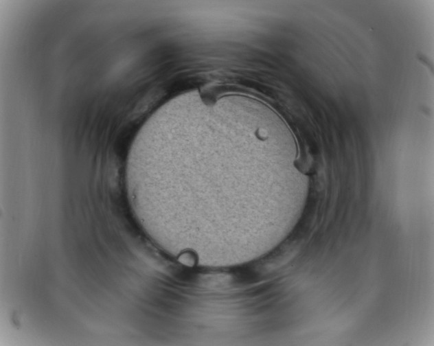 X0000097500266200803142026