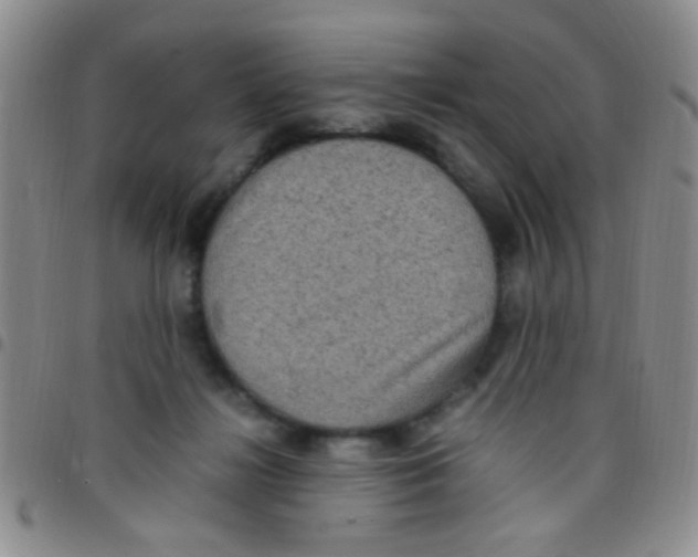 X0000097500268200803142026