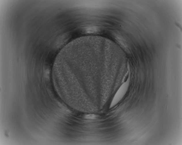 X0000097500269200803142026