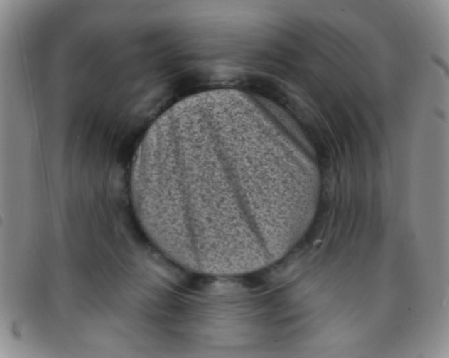 X0000097500270200803142026