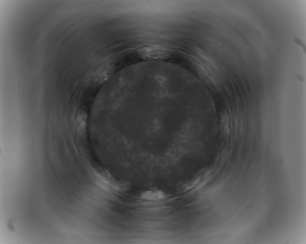 X0000097500271200803142026