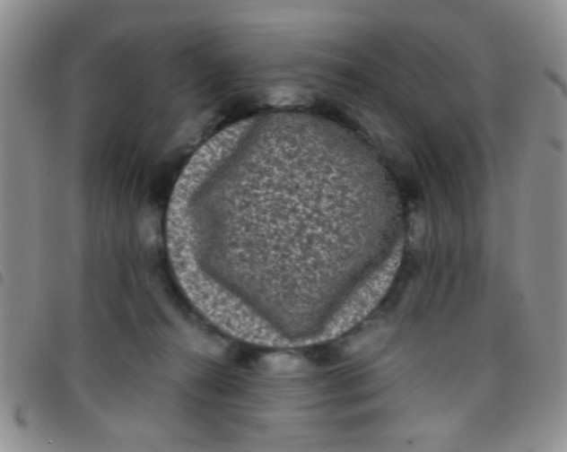 X0000097500272200803142026