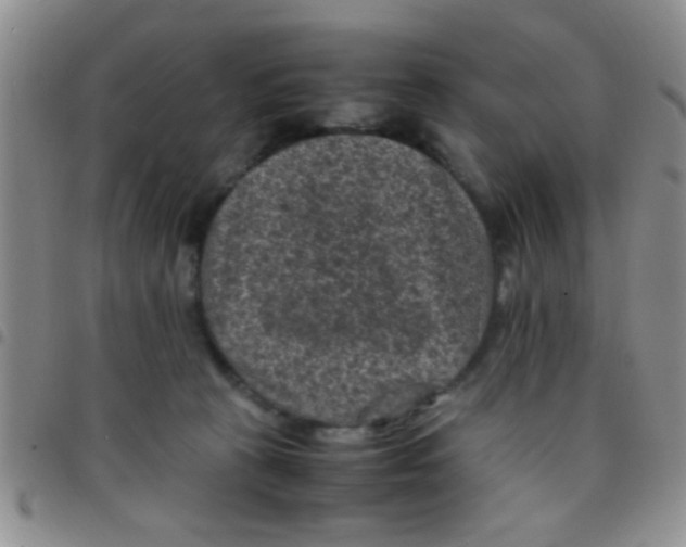 X0000097500273200803142026