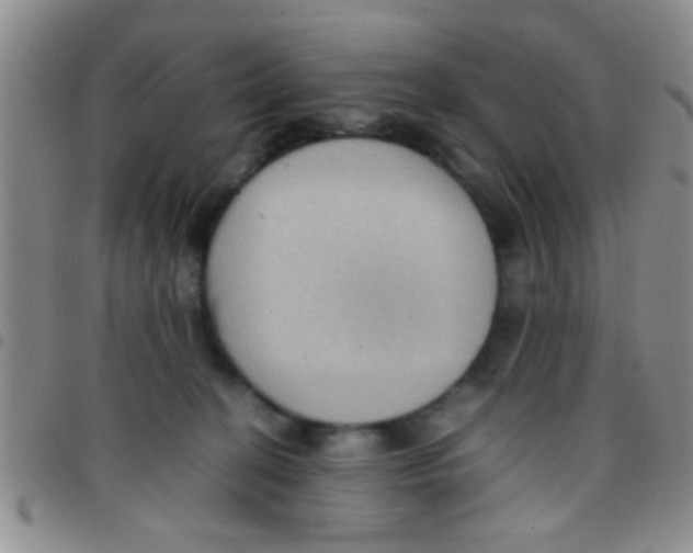 X0000097500274200803142026