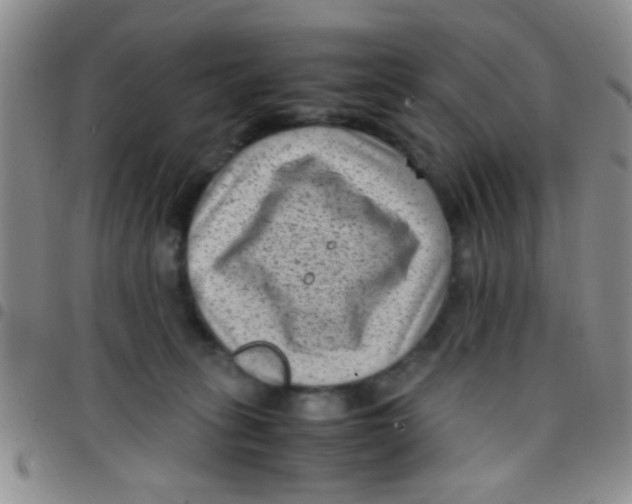 X0000097500275200803142026