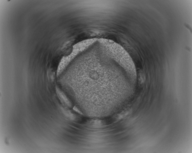 X0000097500276200803142026