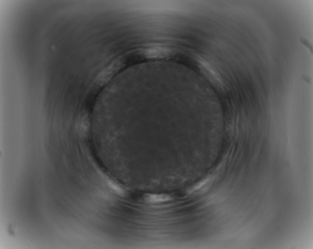 X0000097500277200803142026