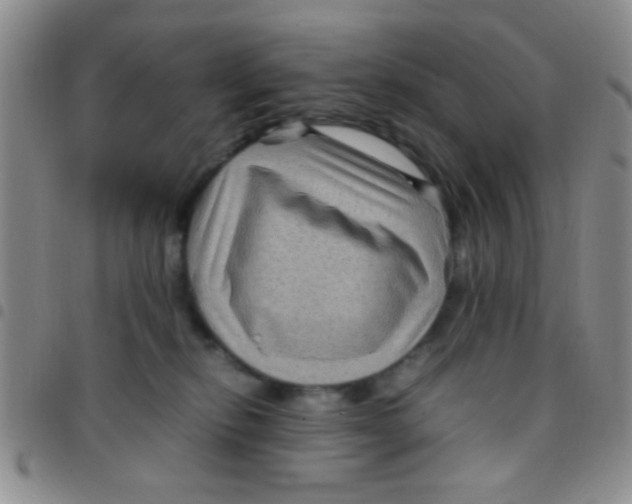 X0000097500278200803142026