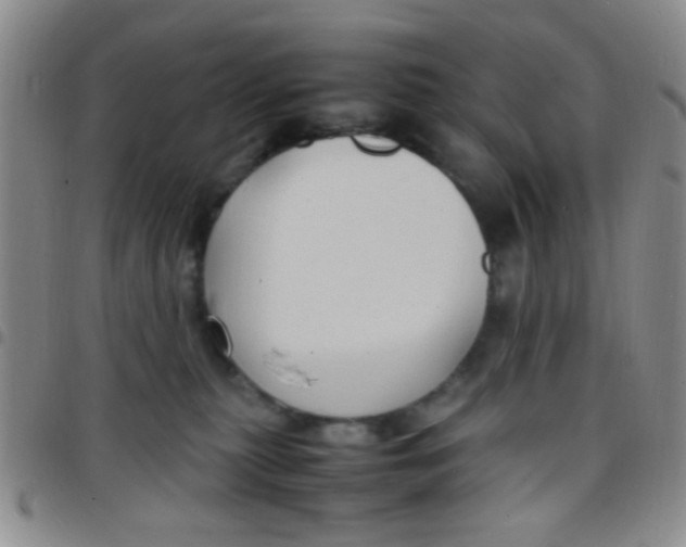 X0000097500279200803142026