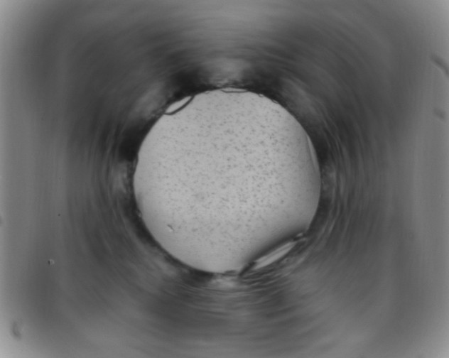 X0000097500280200803142026