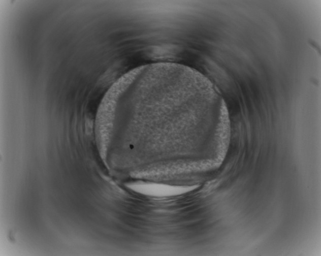 X0000097500281200803142026