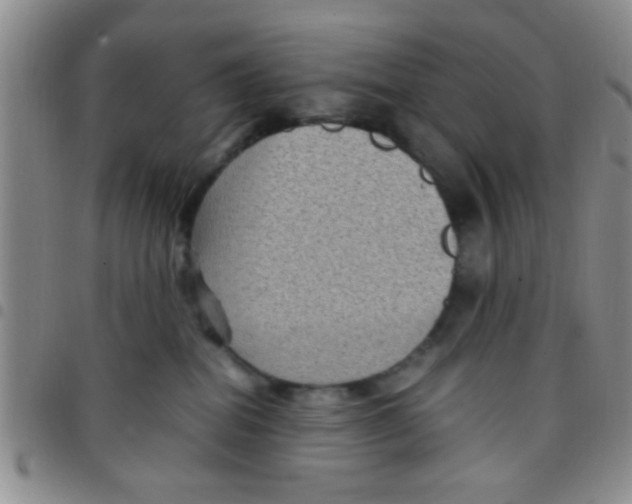 X0000097500282200803142026