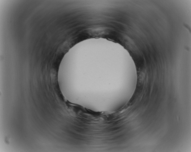 X0000097500283200803142026