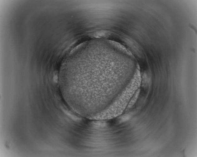 X0000097500284200803142026