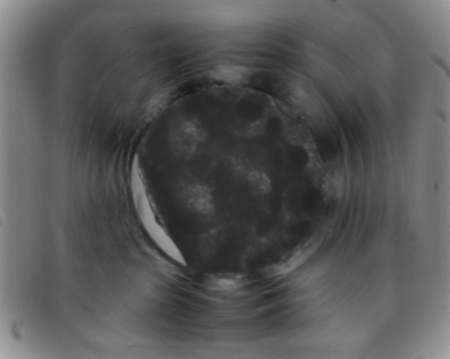 X0000097500285200803142026