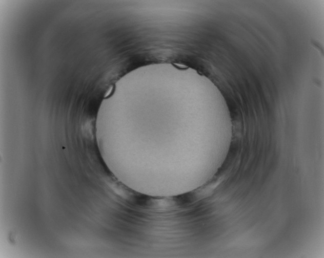 X0000097500286200803142026