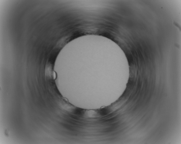 X0000097500287200803142026