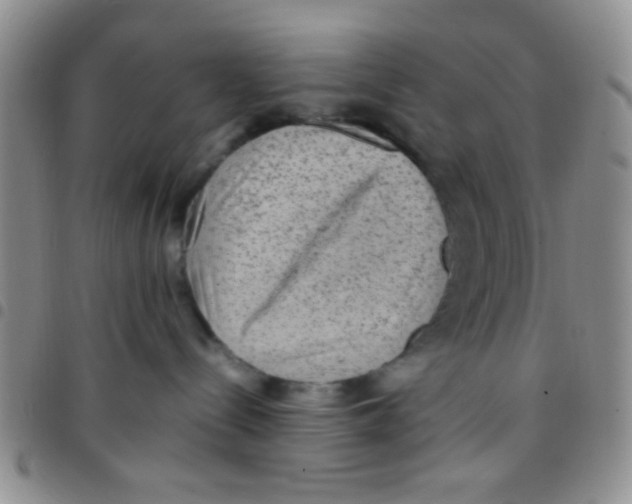 X0000097500288200803142026