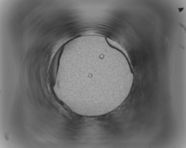 X0000097500289200803142026