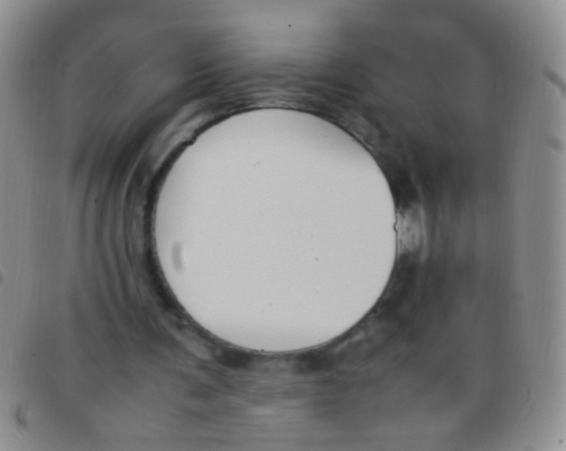 X0000097500291200803142025