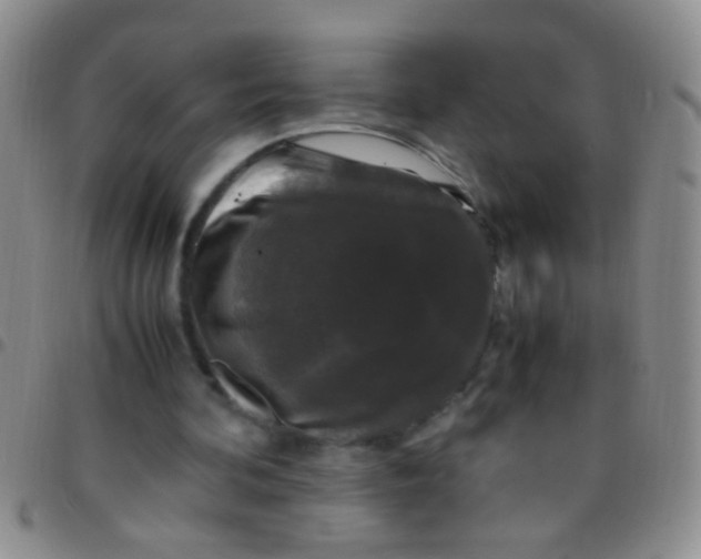 X0000097500292200803142025