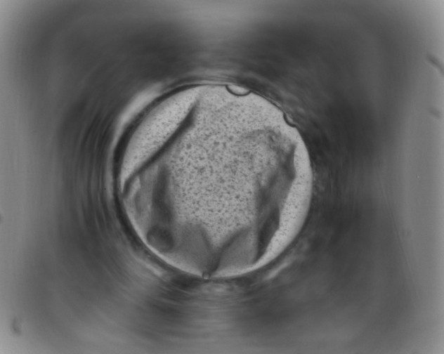 X0000097500294200803142025