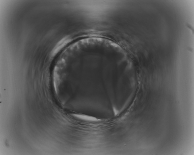 X0000097500295200803142025