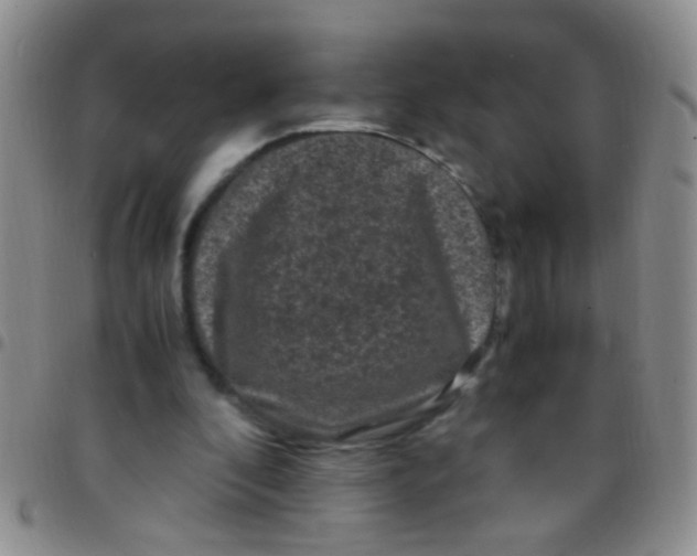 X0000097500296200803142025