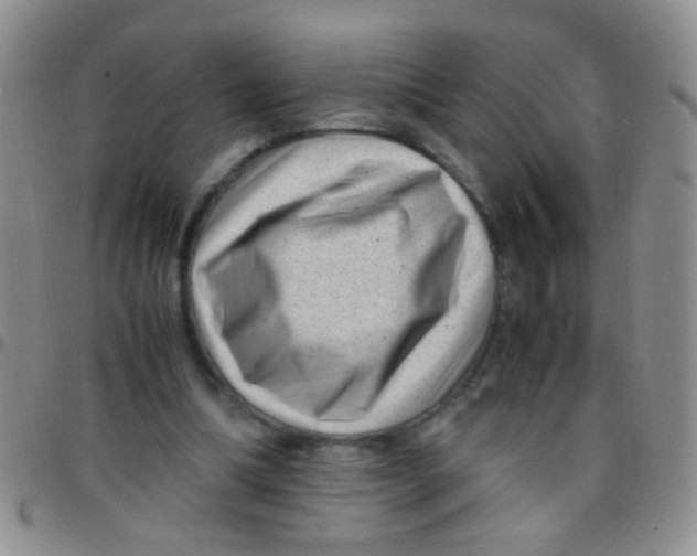 X0000097500298200803142025