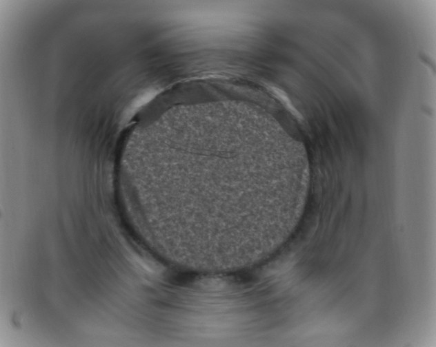 X0000097500299200803142025