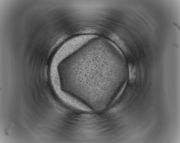 X0000097500300200803142025