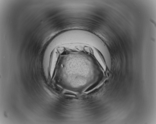 X0000097500302200803142025