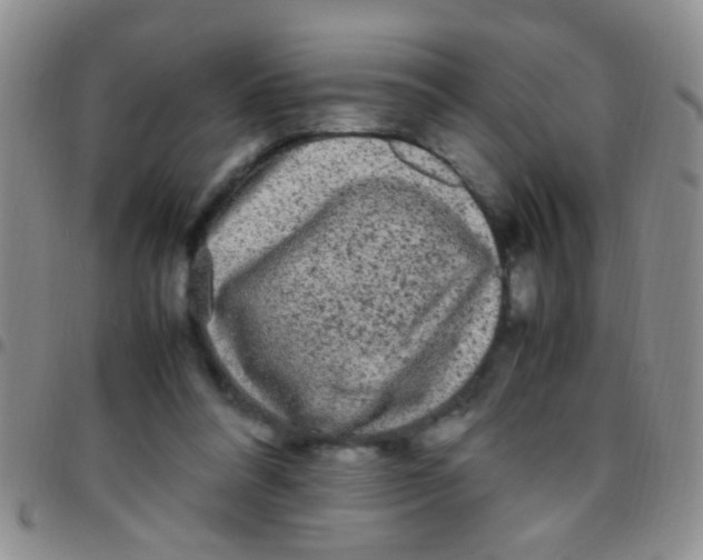 X0000097500304200803142025