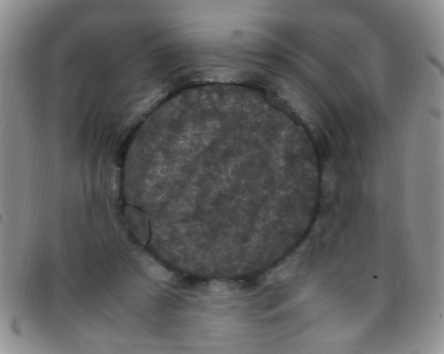 X0000097500305200803142025