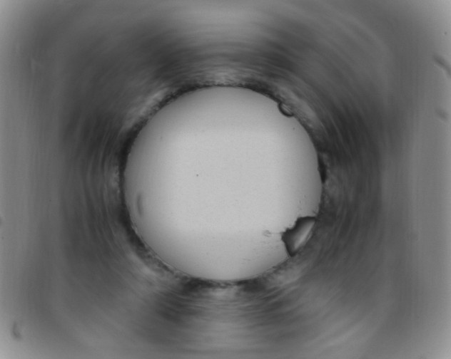 X0000097500306200803142025