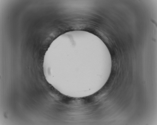 X0000097500307200803142025