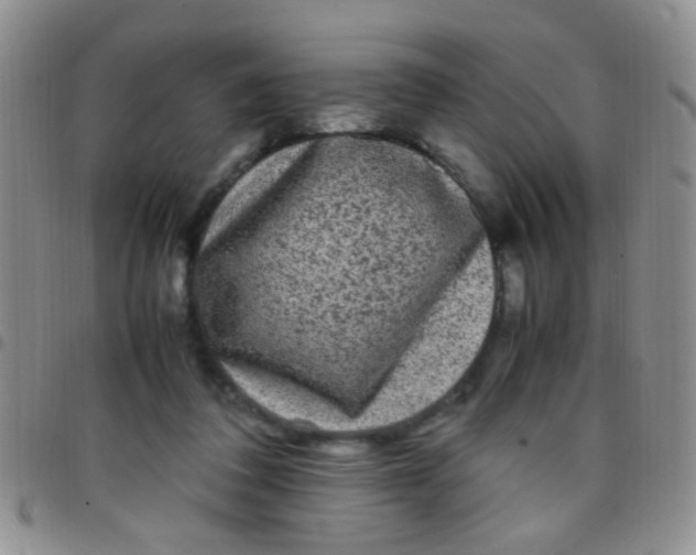 X0000097500308200803142025