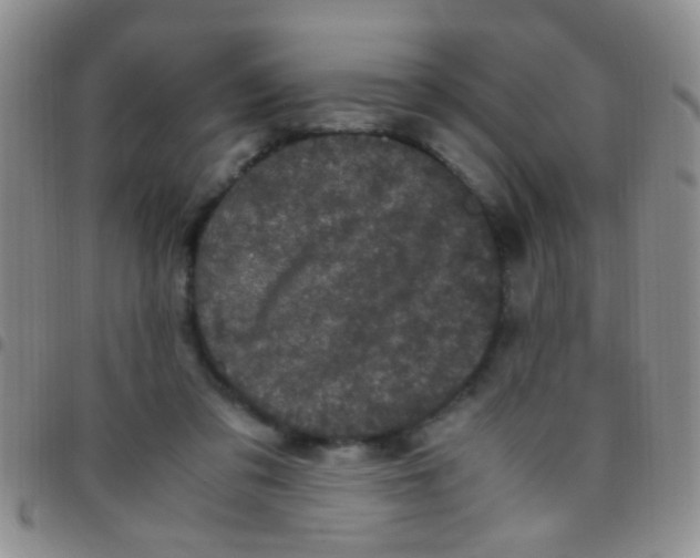 X0000097500309200803142025