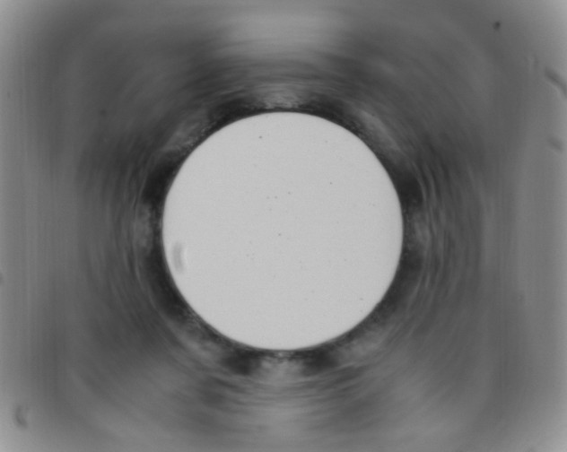 X0000097500311200803142025