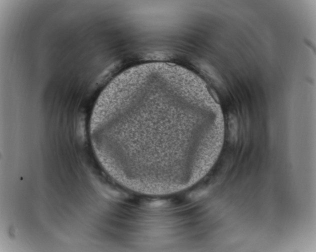 X0000097500312200803142025