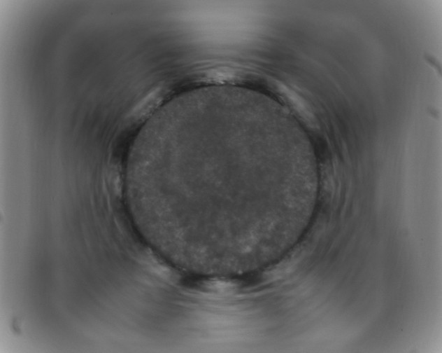 X0000097500313200803142025