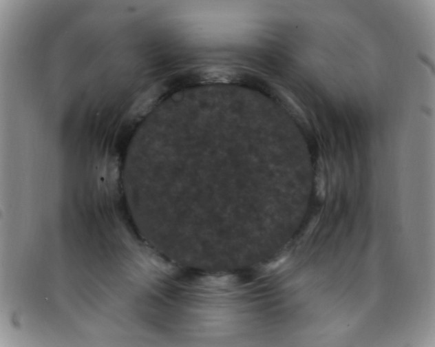 X0000097500314200803142025