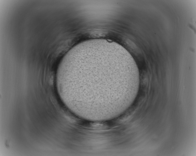 X0000097500315200803142025